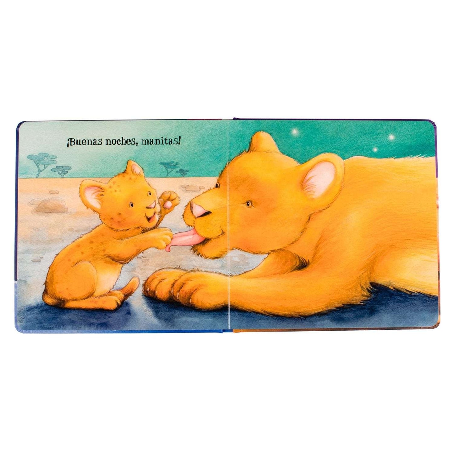 Libro Buenas Noches Mi Amor