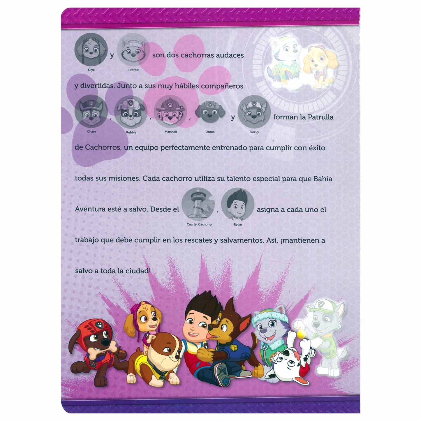 Libro Paw Patrol, Listas Para La Acción - Calcomanías