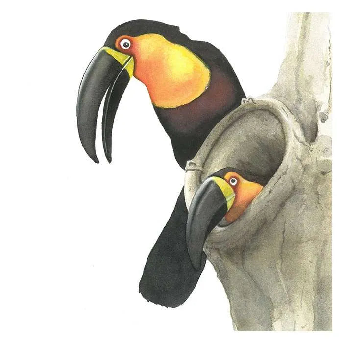 Libro Mi Amor por Tí