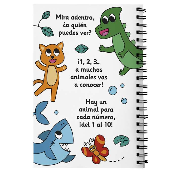 Libro Sumando - Pinta con Agua